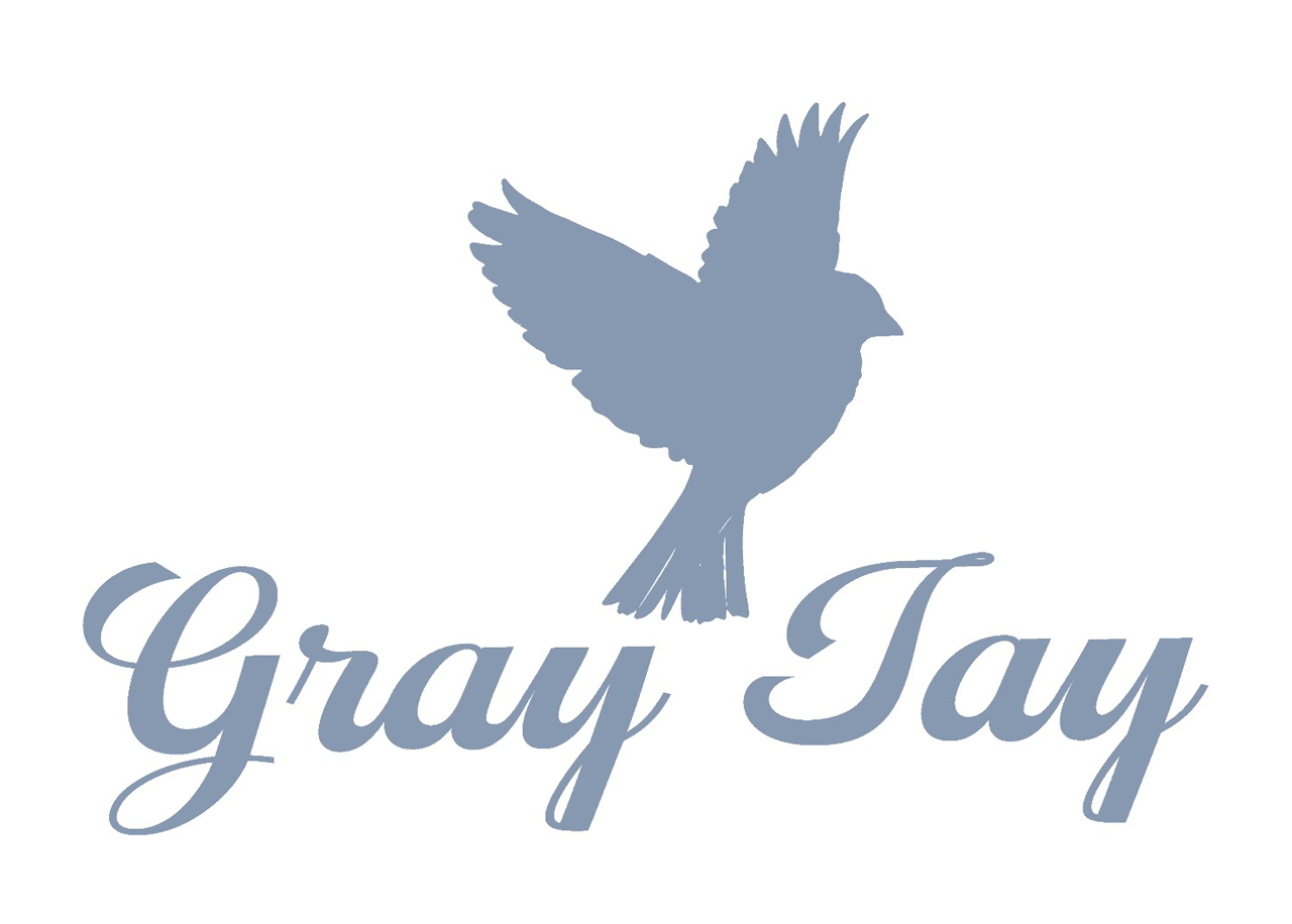 Read more about the article Gray Jay